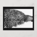 Recherche de haies cartes postales Neige