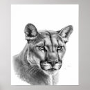 Recherche de animal puma posters Lion de montagne