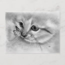 Zoek naar witte kat briefkaarten Vriendschap