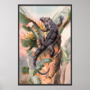 Zoek naar leguaan posters Regenwoud