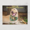 Recherche de médicament cartes postales Humour