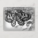 Zoek naar rups briefkaarten Natuur