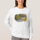 Recherche de ruisseau tshirts États unis