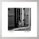 Recherche de photoart Chien