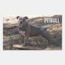 Recherche de chien rectangles autocollants Animaux