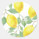 Recherche de fruit jaune autocollants Étiquettes