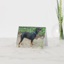 Zoek naar rottweilers kaarten Dieren