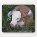 Recherche de veau vache tapis souris Ferme