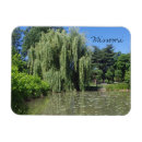 Recherche de saule pleurant Paysage