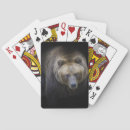 Recherche de ours jeux de cartes Faune