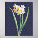 Recherche de daffodil posters Printemps