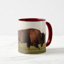 Recherche de la la land tasses Nature