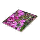 Recherche de bourdon carreaux Animaux