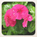 Recherche de macro tissue papier Fleurs