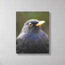 Zoek naar merels kunst Vogels