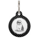 Recherche de vieux pet Dog