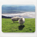 Recherche de sheep tapis souris Mouton