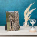 Recherche de hiboux plaques Oiseaux de proie