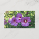 Recherche de le hibiscus cartes visite Toute personne