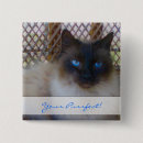 Zoek naar purper accessoires Blauw