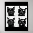 Zoek naar photobooth posters Grappig