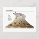 Recherche de mouches cartes postales Coléoptères