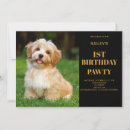 Recherche de de chien anniversaire invitations Dogs