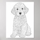 Zoek naar labradoodle meer kunst Labradole