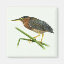 Recherche de eau douce magnets Nature