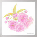 Zoek naar roze boom posters Bloei