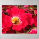 Recherche de honey bee posters Insecte