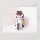 Recherche de cycle cartes postales Femme