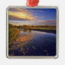 Recherche de jackson hole ornements Réflexion