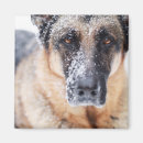 Recherche de glace mignonne magnets Hiver