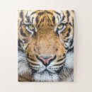 Recherche de tigers puzzles Pour enfants