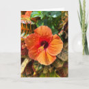 Zoek naar hibiscus kaarten Hawaï