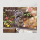 Recherche de mendiant cartes postales Mignon