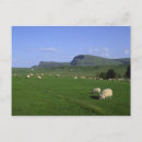 Zoek naar eiland van skye briefkaarten Verenigd koninkrijk