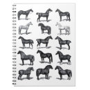 Recherche de horse Dressage