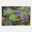 Recherche de coccinelle cuisine linges Insecte