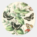 Recherche de vision autocollants Papillon