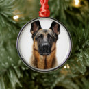 Recherche de berger allemand ornements Chiot