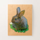 Zoek naar konijntje puzzels Happy easter