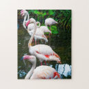 Zoek naar flamingo puzzels Dierenpuzzel