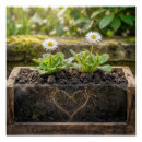 Recherche de marguerites blanches posters Pour tous