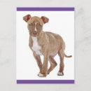 Recherche de chiot pitbull vœux cartes Chiots
