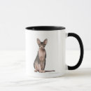 Zoek naar sphynx kat mokken Natuur