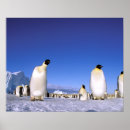 Recherche de antarctique art Neige