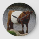Recherche de ceinture horloges Vache