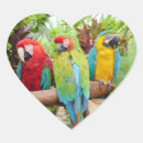 Recherche de macaw autocollants Exotique